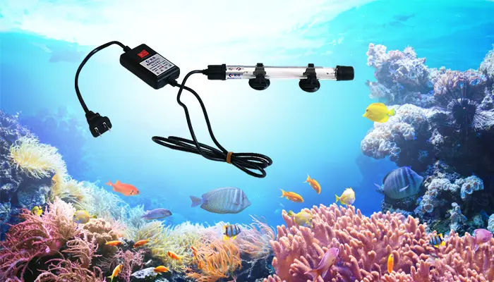 Pisces piscinae aquae Purificationis tutelae Custos Pisces piscinae aquae Purificationis tutelae Custos