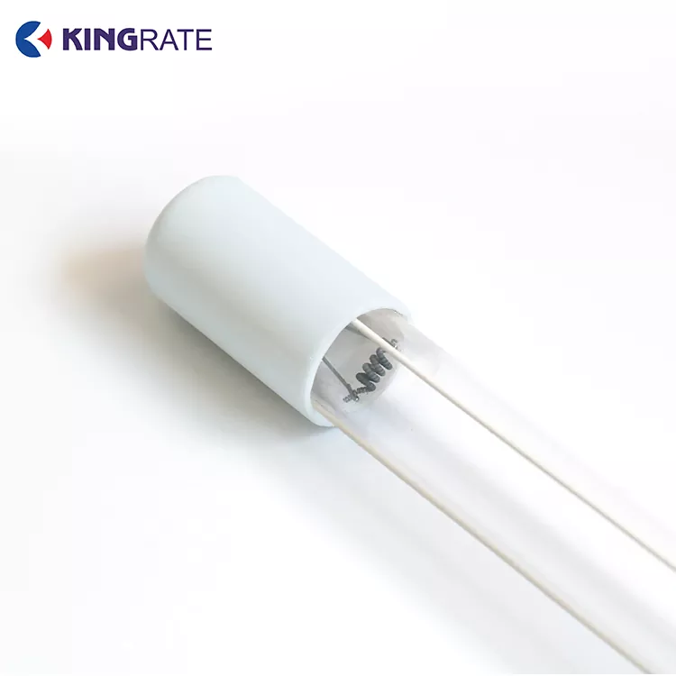 Princeps Output 4P UV Lamp